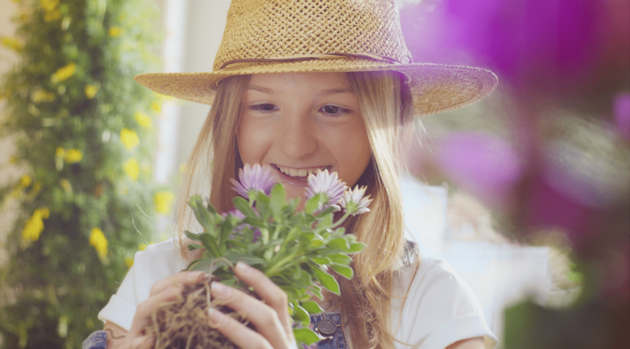 bbs.agency - work - trafic